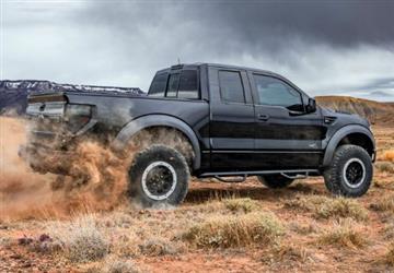 Nerf Bar Cab Length With Drop Down Steps #D2086MC